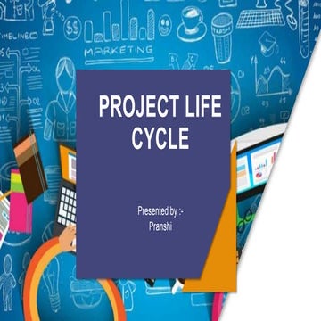 Project Life Cycle final.pptx