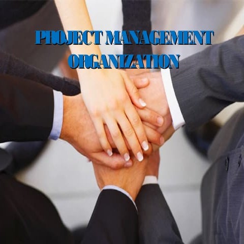 Software project management