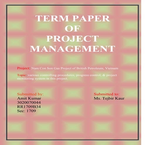 Project Management