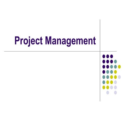 Project Management