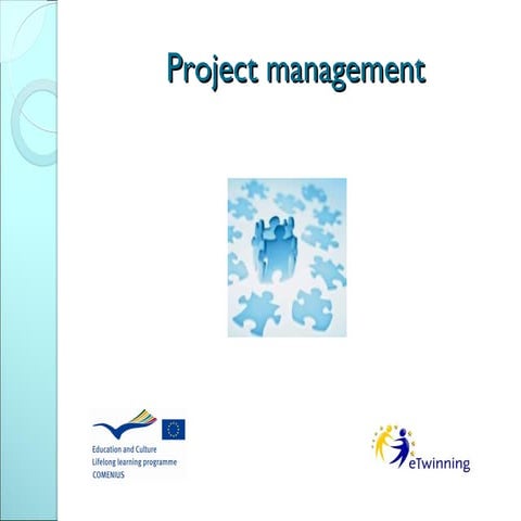 Project management