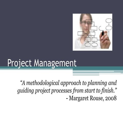 Project management