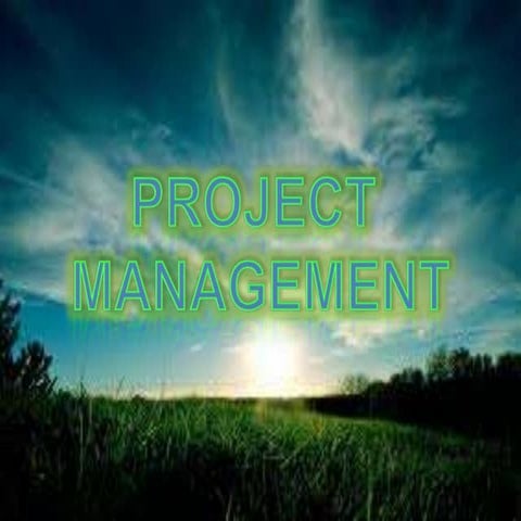 Project management