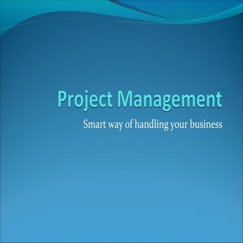 Project management