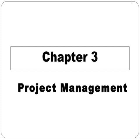 Project management