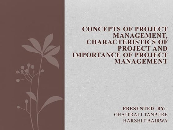 Project portfolio management an introduction | PPTX | Business ... image.