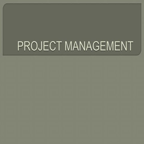 Project management