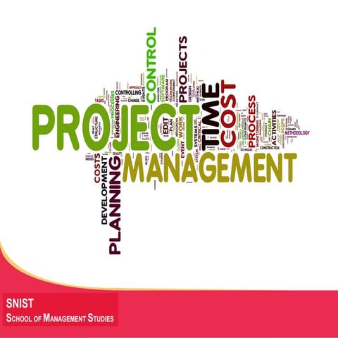 Project management