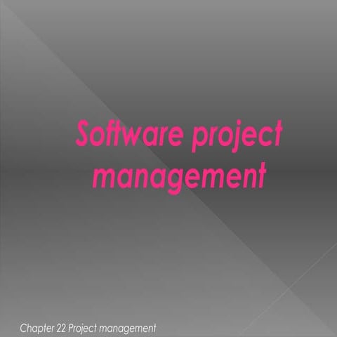 ch 22. Project management in SE