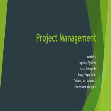 Project management