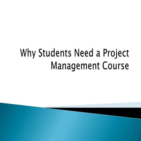 Project management as a career for it
