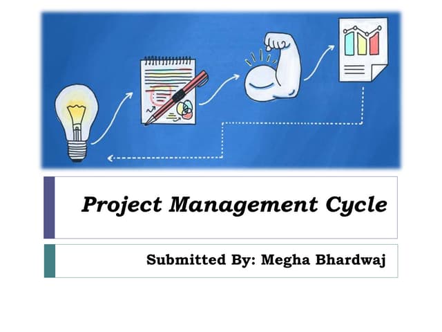Project management  cycle
