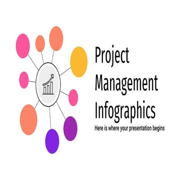 Project Management Infographics Infographics