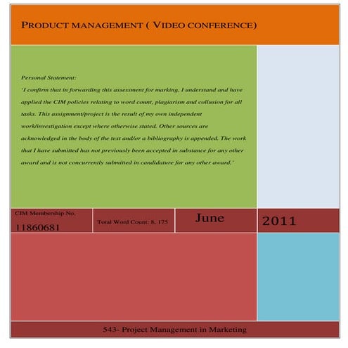 Project Management in Marketing Final Report