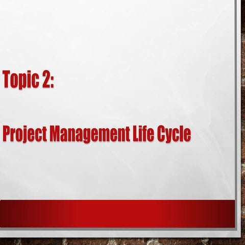 Project Management Life Cycle