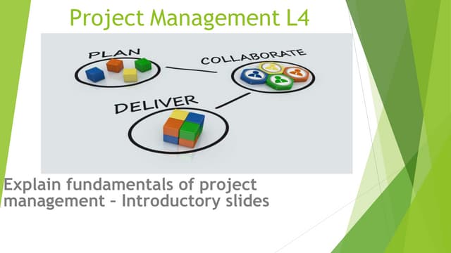 Project Management online sample (1) (1).pptx