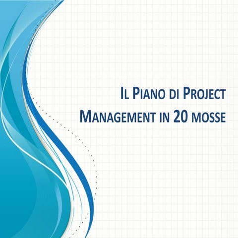 The Project Management Plan in 20 steps | PDF
