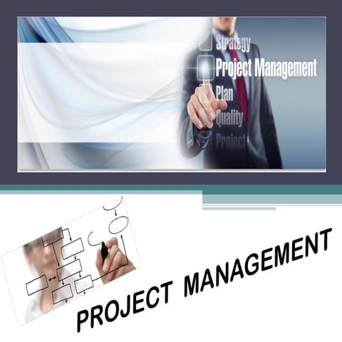 Project Management: Importance in Detail