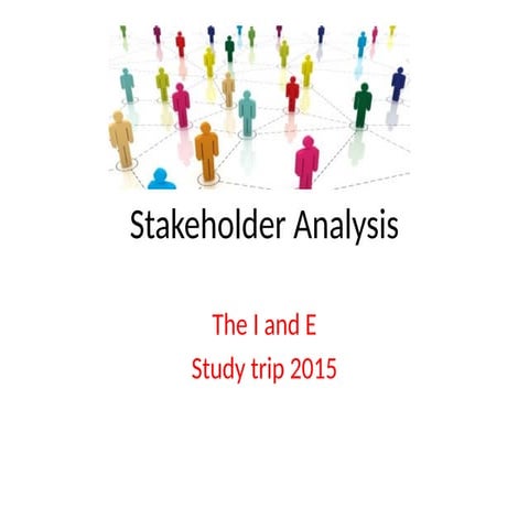 Project Management Stakeholder Analysis Pptx