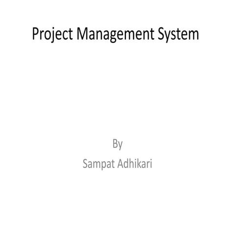 Project management system