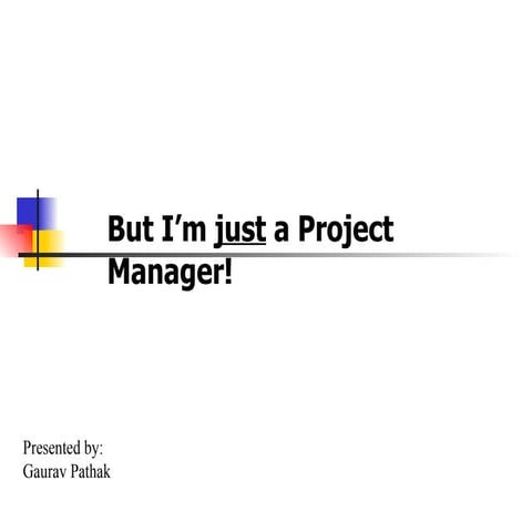 But I'm Just a Project Manager