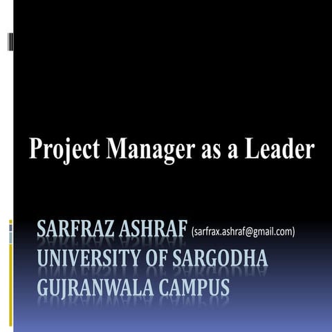 Project manager as leader