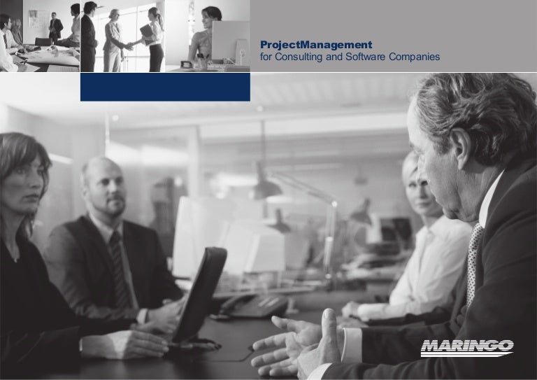 BEST SAP CONSULTANTS visual data 2