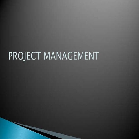 Project mgt