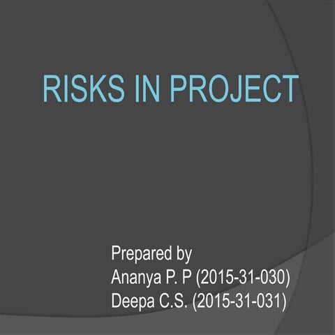 Project mngmnt risks3.2
