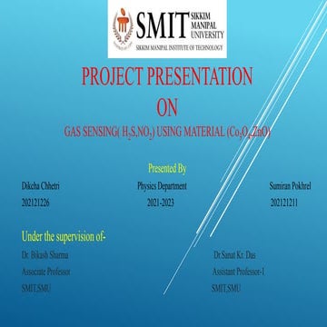 Project MSC.pptx