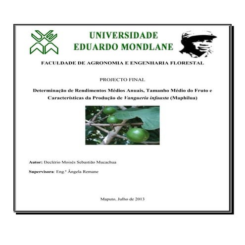 Tese de Licenciatura  'Vangueria infausta (Mapfilua)'