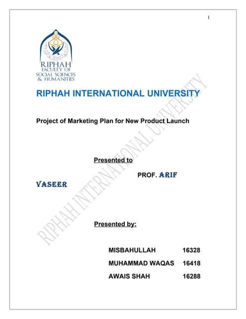 Project of marketing plan for new product launch