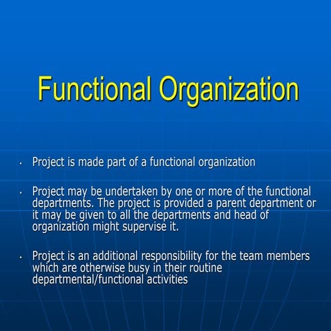Project Organization.ppt