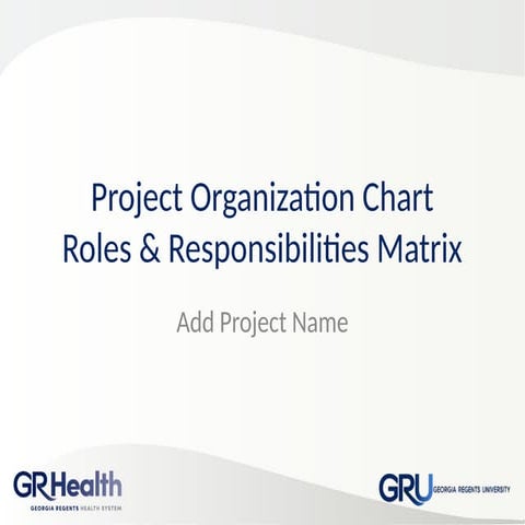 Project Organization Chart and Roles.ppt