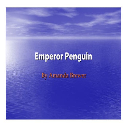 Emperor penguin project