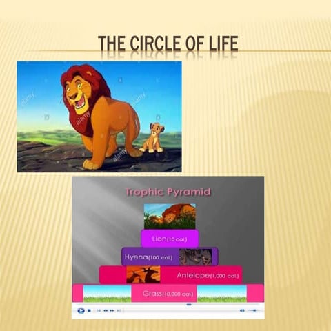 Project plan Maria Pilar Cano