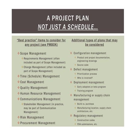 Critical elements of a project plan