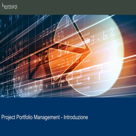Project portfolio management