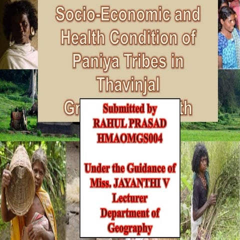 Socio Economic and Health Condition of Paniya Tribes in Thavinjal ...