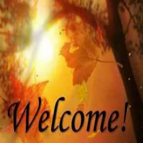 VACUUM ASSISTED WOUND THERAPY