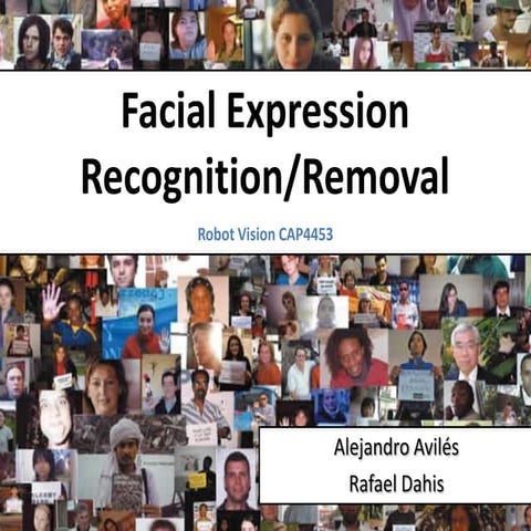 Facial Expression Recognition / Removal