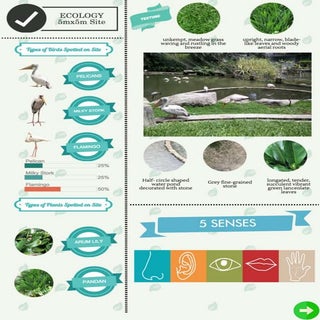 Project presentation 1