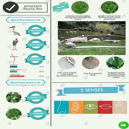 Project presentation 1