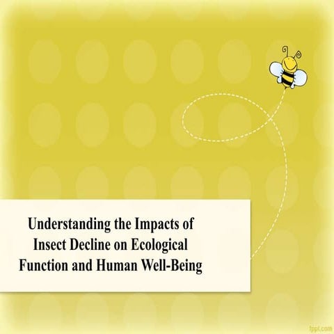 Project presentation on insects | PPT