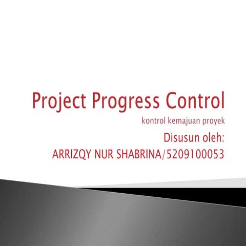 Project progress control