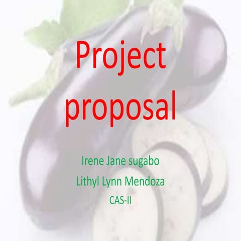 Project Proposal (Eggplant production)