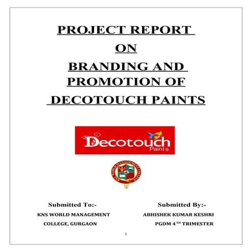 Decotouch Paints Limited Project Report