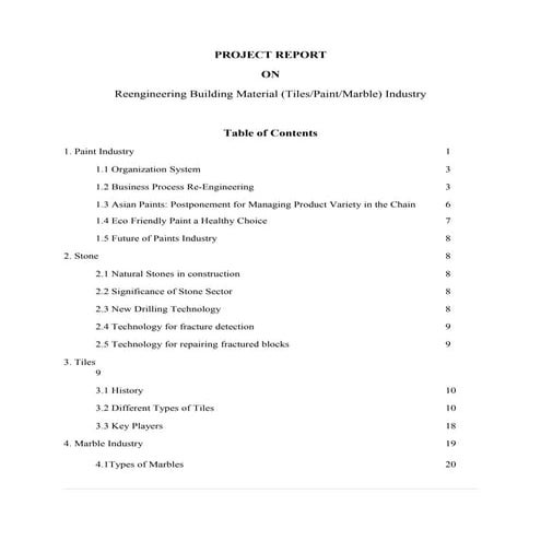 Project report   bpr