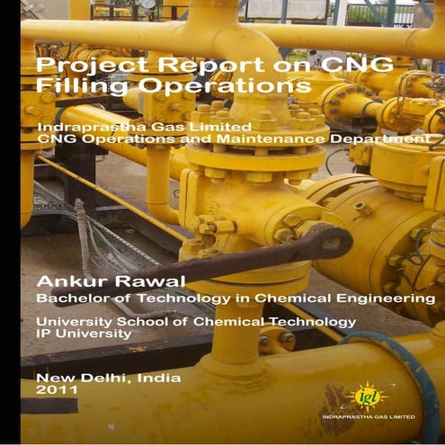 Project report ankur rawal june2011