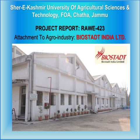 Project report on industrial visit